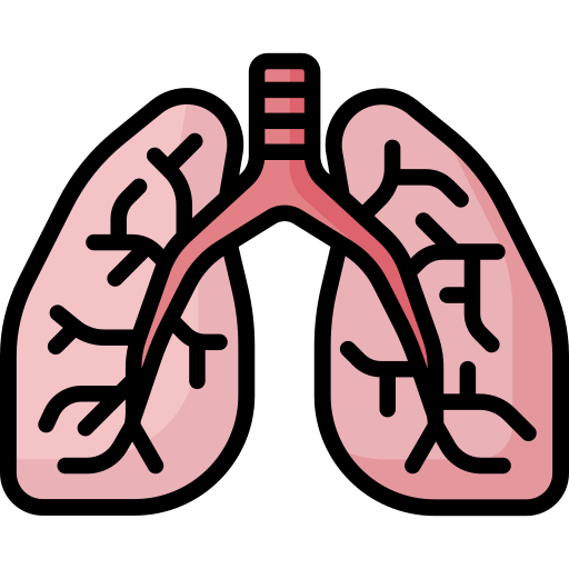 lungs